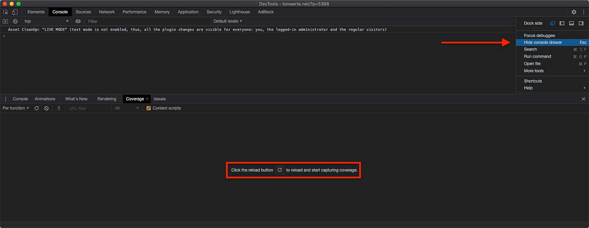 WordPress schneller machen Console